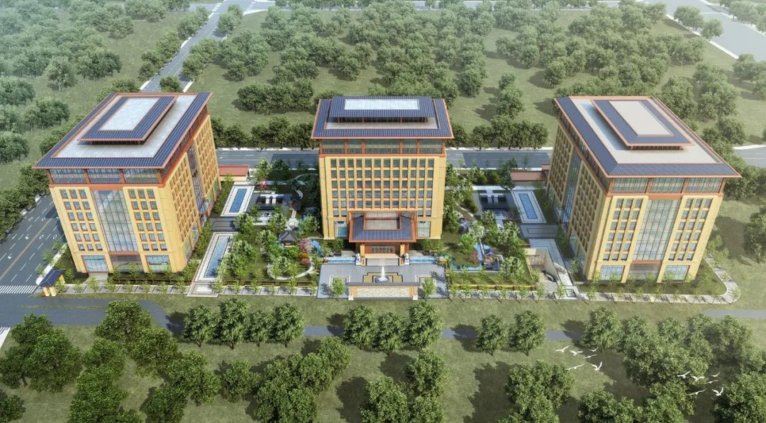 1707037415995334.jpg 1707037112794.jpg